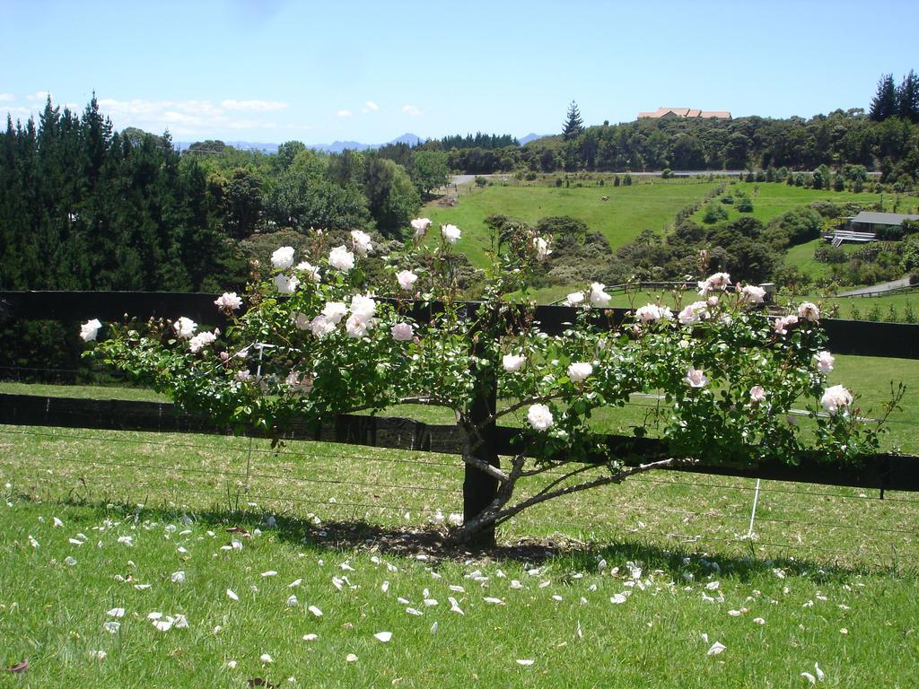 Country Homestead At Black Sheep Farm 3*